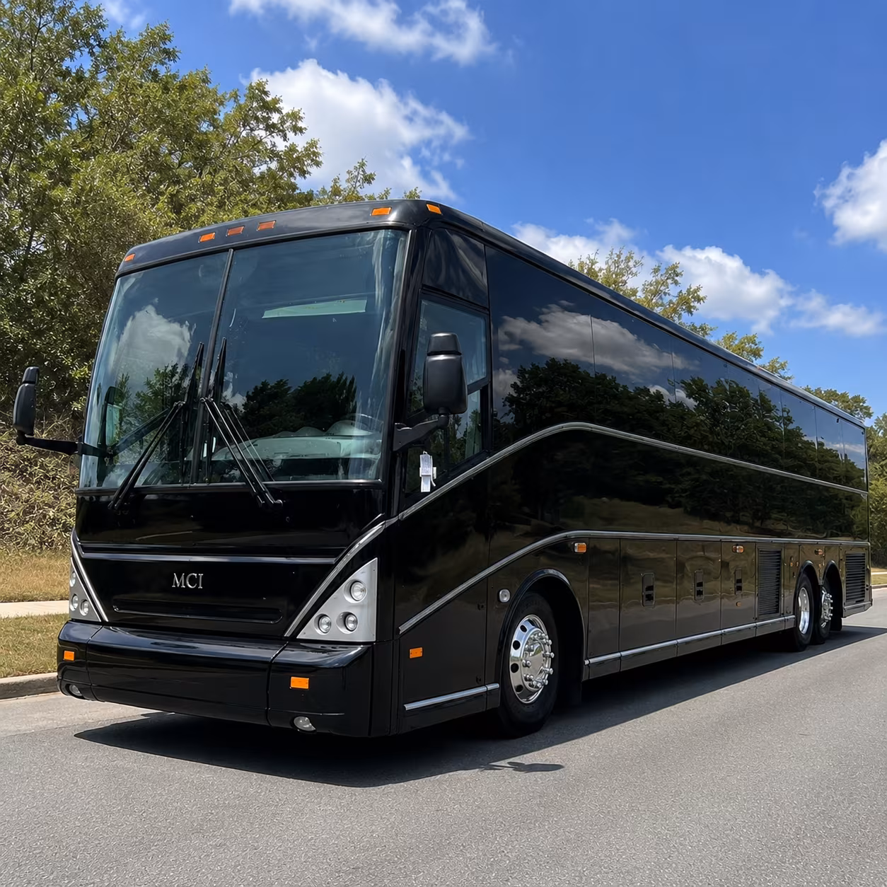 charter buses to the bronx zoo nybg and top bronx destinations